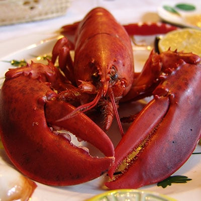 LOBSTERS